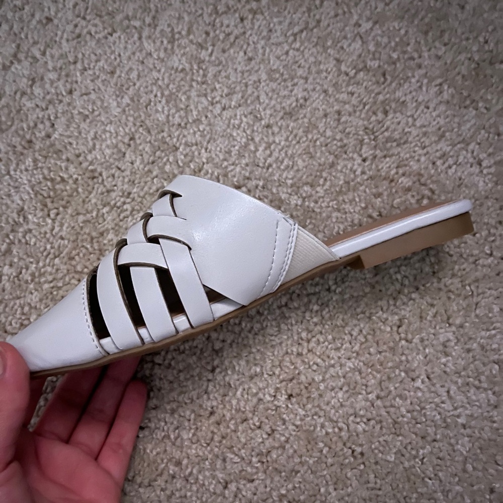 Brittany Mules - Picture 5 of 5
